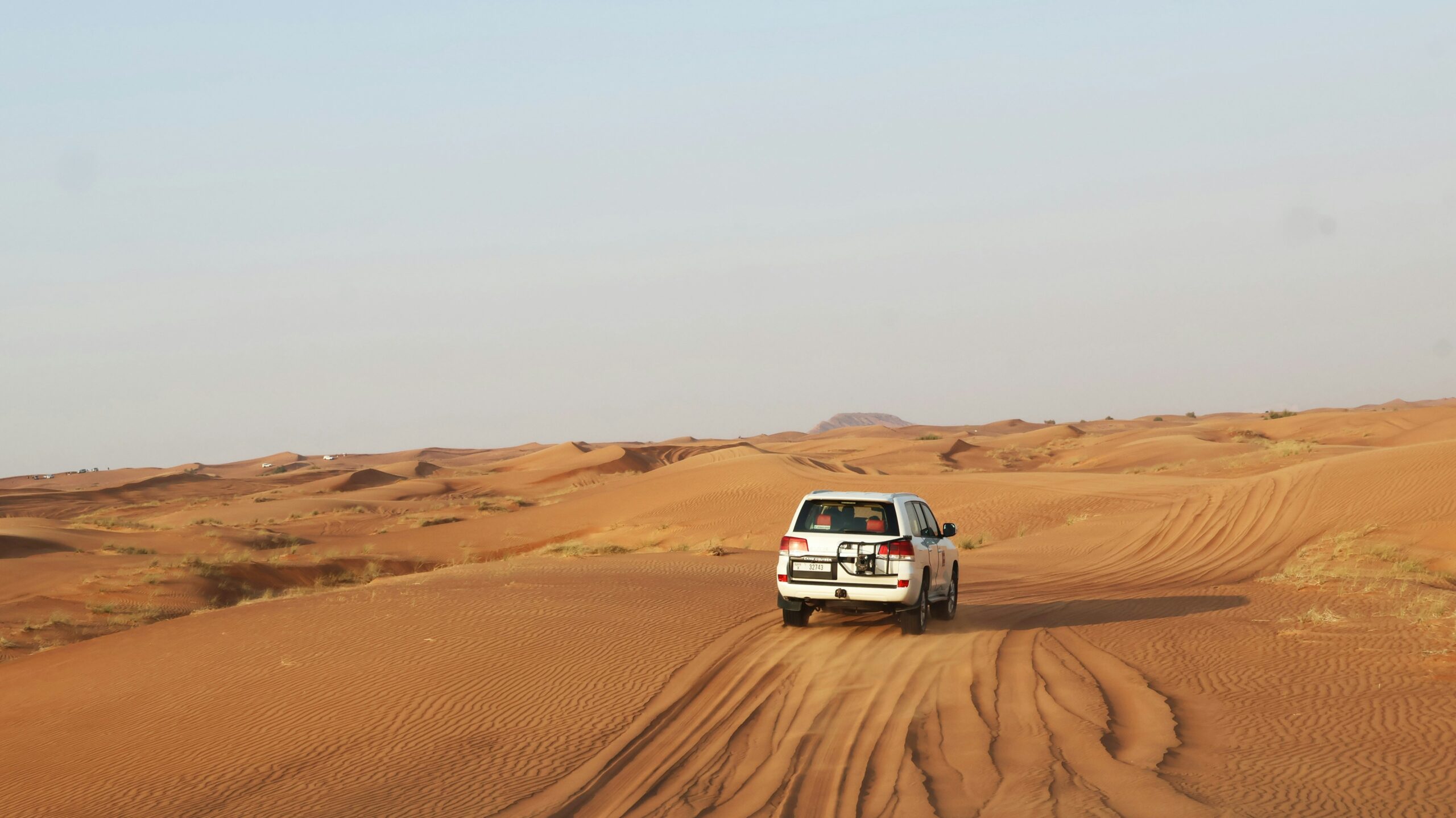 guide with safari jeep
