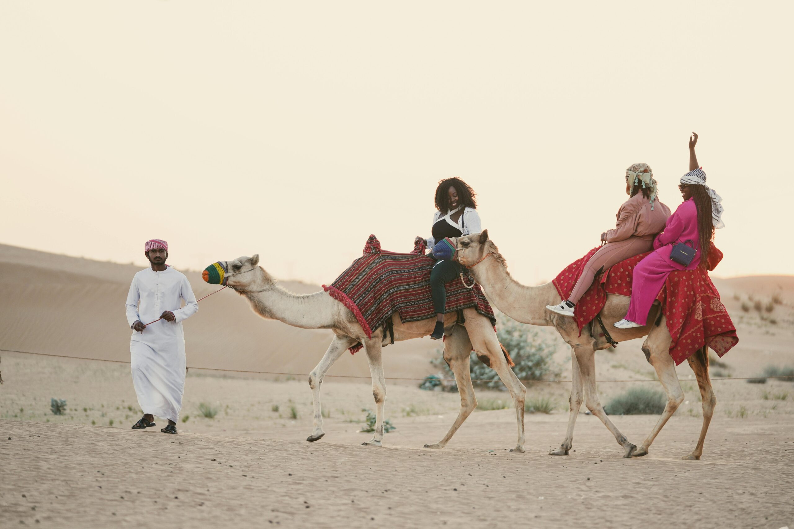 camel ride under sunset